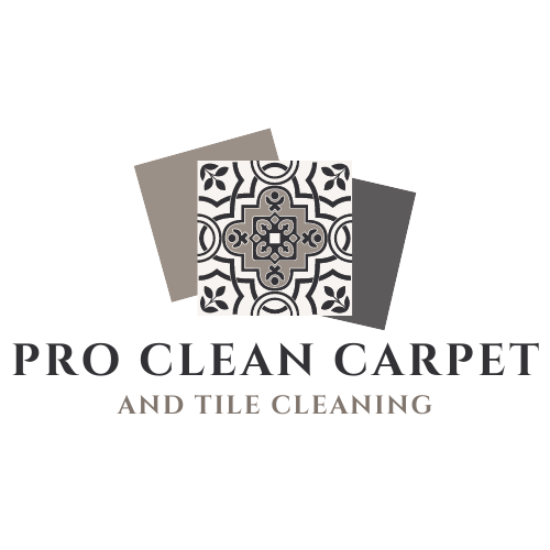 The pro clean carpet and tile cleaning logo