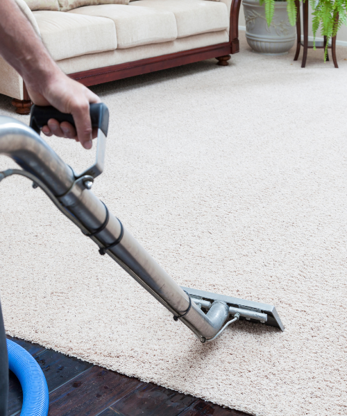 A person using a vacuum to clean a carpet