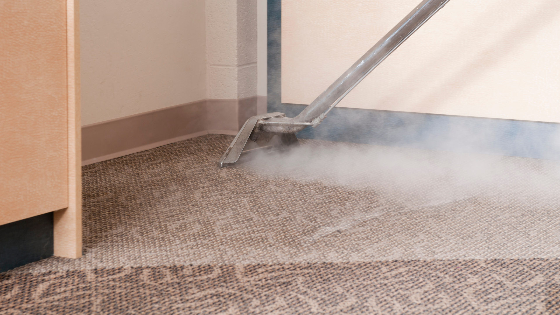 A person vacuuming a carpet with steam coming out of it